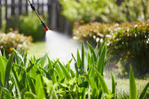 Tamper-Resistant Bait Stations for Rodents in Mentone